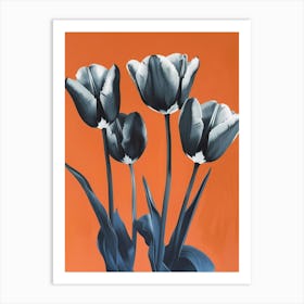 Black And White Tulips Art Print