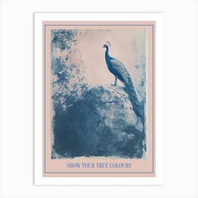 Navy Blue Peacock Portrait Cyanotype Inspired 1 Poster Art Print