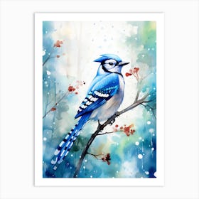 Snowy Blue Jay 3 Art Print