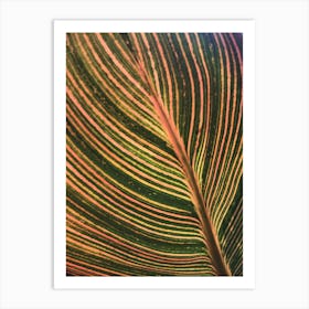 Leaf Patten Lines Colorful Plant 1 Art Print