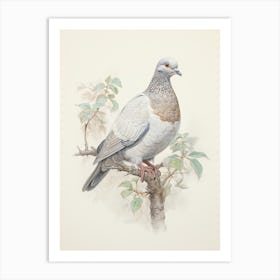 Vintage Bird Drawing Pigeon 3 Art Print