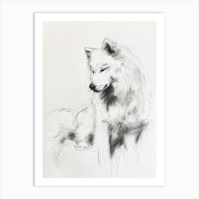 Samoyed Dog Charcoal Line 2 Art Print