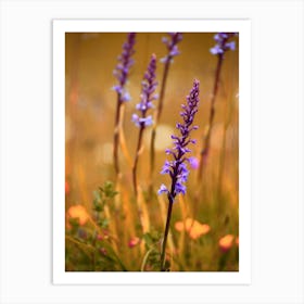 Purple Meadow Flowers Close Up Art Print