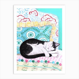 Sleeping Black White Cat Art Print