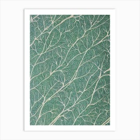 Paperbark Maple 2 tree Vintage Botanical Art Print