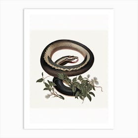 Black Mamba Snake Vintage Art Print