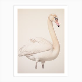 Vintage Bird Drawing Swan 1 Art Print