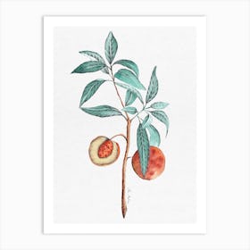 Peach Tree Art Print