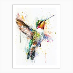 Hummingbird Colourful Watercolour 3 Art Print
