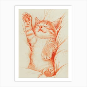 Cat Sleeping On A Pillow 1 Art Print