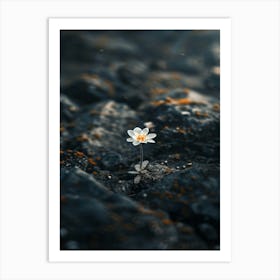 Flower In The Sand 1 Art Print