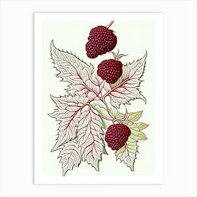Red Raspberry Herb William Morris Inspired Line Drawing 1 Art Print