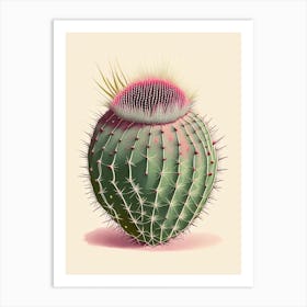 Pincushion Cactus Retro Drawing Art Print