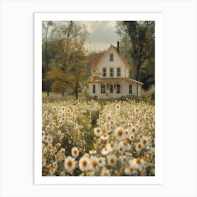 Daisy Field Art Print