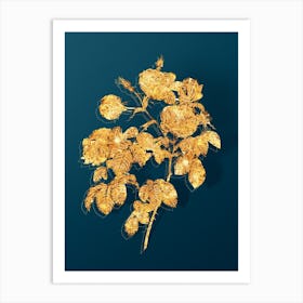 Vintage Tomentose Rose Botanical in Gold on Teal Blue n.0093 Art Print