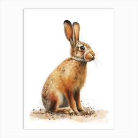 Belgian Hare Nursery Illustration 3 Art Print
