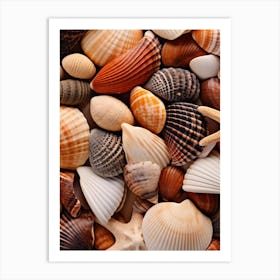 Sea Shells Background Art Print