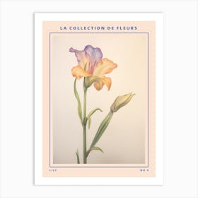 Lily 4 French Flower Botanical Poster Art Print