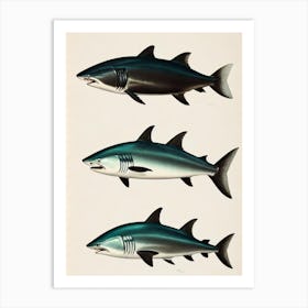 Mako Shark Vintage Poster Art Print