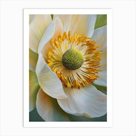 White Peony 1 Art Print