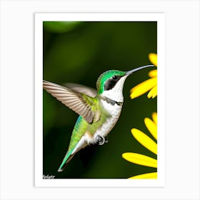 Female Ruby Throated Hummingbird-Reimagined Art Print