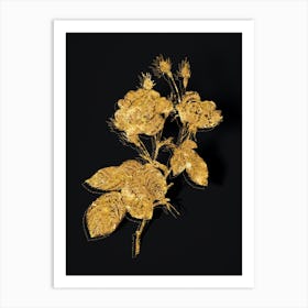 Vintage Anemone Centuries Rose Botanical in Gold on Black Art Print