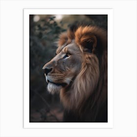 Lion Portrait 1 Art Print