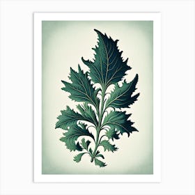 Pennyroyal Leaf Vintage Botanical 3 Art Print