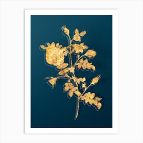 Vintage Silver Flowered Hispid Rose Botanical in Gold on Teal Blue Art Print