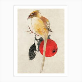 Katsushika Hokusai Bird On Apple Art Print