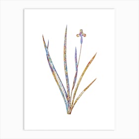 Stained Glass Iris Martinicensis Mosaic Botanical Illustration on White n.0348 Art Print