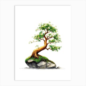 Bonsai Tree 7 Art Print