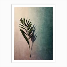 Shadow Of A Palm Leaf Art Print