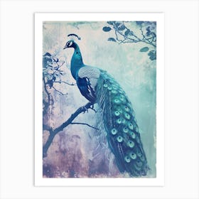 Vintage Turquoise Peacock In A Tree Art Print