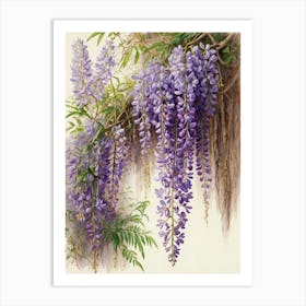 Wisteria Art Print