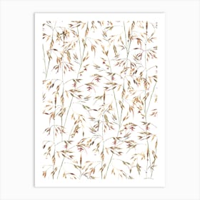 Native Themeda Grass Pattern On White Art Print