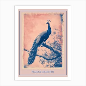 Peacock In The Tree Cyanotype Inspired 7 Poster Art Print