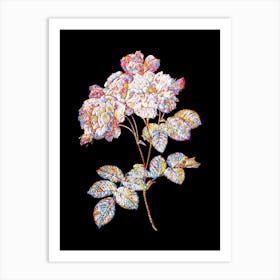 Stained Glass Pink Damask Rose Mosaic Botanical Illustration on Black n.0338 Art Print