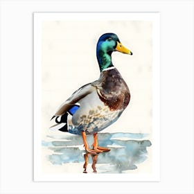 Mallard Duck Watercolor Painting Art Print