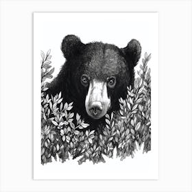 Malayan Sun Bear Hiding In Bushes Ink Illustration 2 Art Print