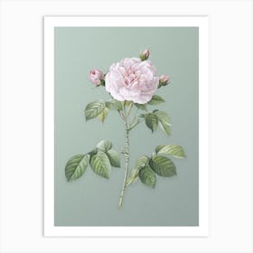 Vintage Rosa Alba Botanical Art on Mint Green n.0076 Art Print