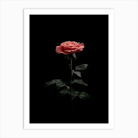 Single Rose On Black Background 24 Art Print