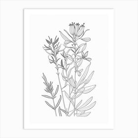 St John S Wort Herb William Morris Inspired Line Drawing 1 Art Print