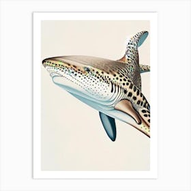 Leopard Shark 3 Vintage Art Print