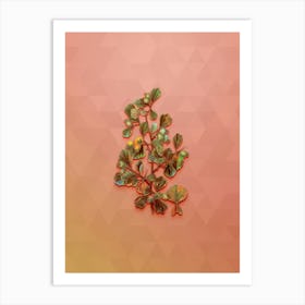 Vintage Spathula Leaved Thorn Botanical Art on Peach Pink n.0611 Art Print