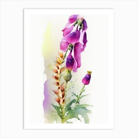 Foxglove Wildflower Watercolour 2 Art Print