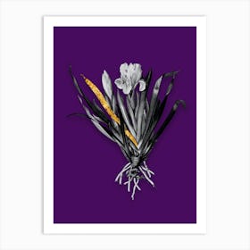 Vintage Crimean Iris Black and White Gold Leaf Floral Art on Deep Violet n.0079 Art Print