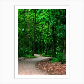 Path Art Print