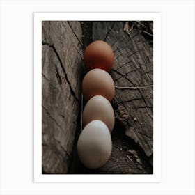 White And Brown Eggs Art Print