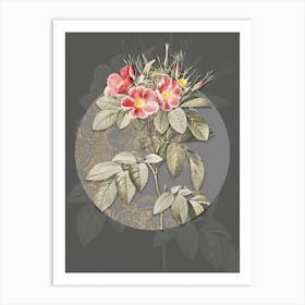 Vintage Botanical Pasture Rose on Circle Gray on Gray n.0128 Art Print